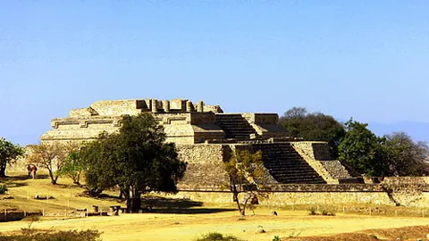 冰雪青春闪耀亚冬会——志愿热情共燃盛事